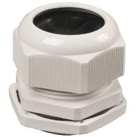 Сальник  IР 55-21 