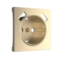 nakladka-dlya-rozetki-usb-shampan-riflenyy-wl10-usb-cp-a037014_0002