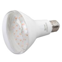 lampa_svetodiodnaya_era_e27_15w_2150k_prozrachnaya_fito_15w_ra90_e27