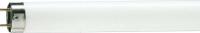 Лампа люминесцентная TL-D 36W/33-640 36Вт T8 4100К G13 PHILIPS 928048503351 / 872790081582500