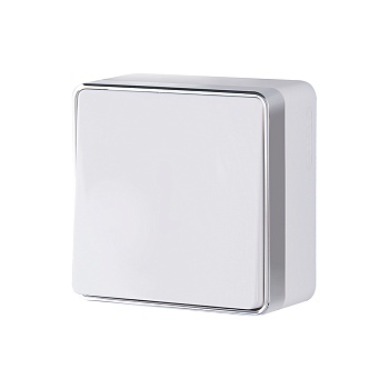 Выключатель   1кл. П/Г /белый/ (WERKEL) (WL15-01-02)