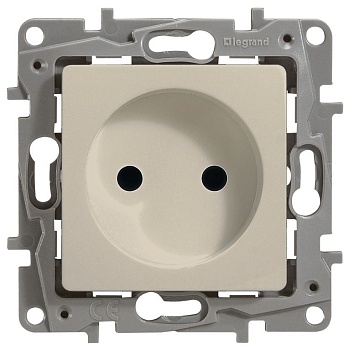 Механизм розетки 1-й С/П  (сл.кость) (Legrand Etika) (672320)